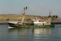 YM44 - Maarten Cornelia