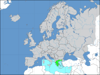 schipperij group europe